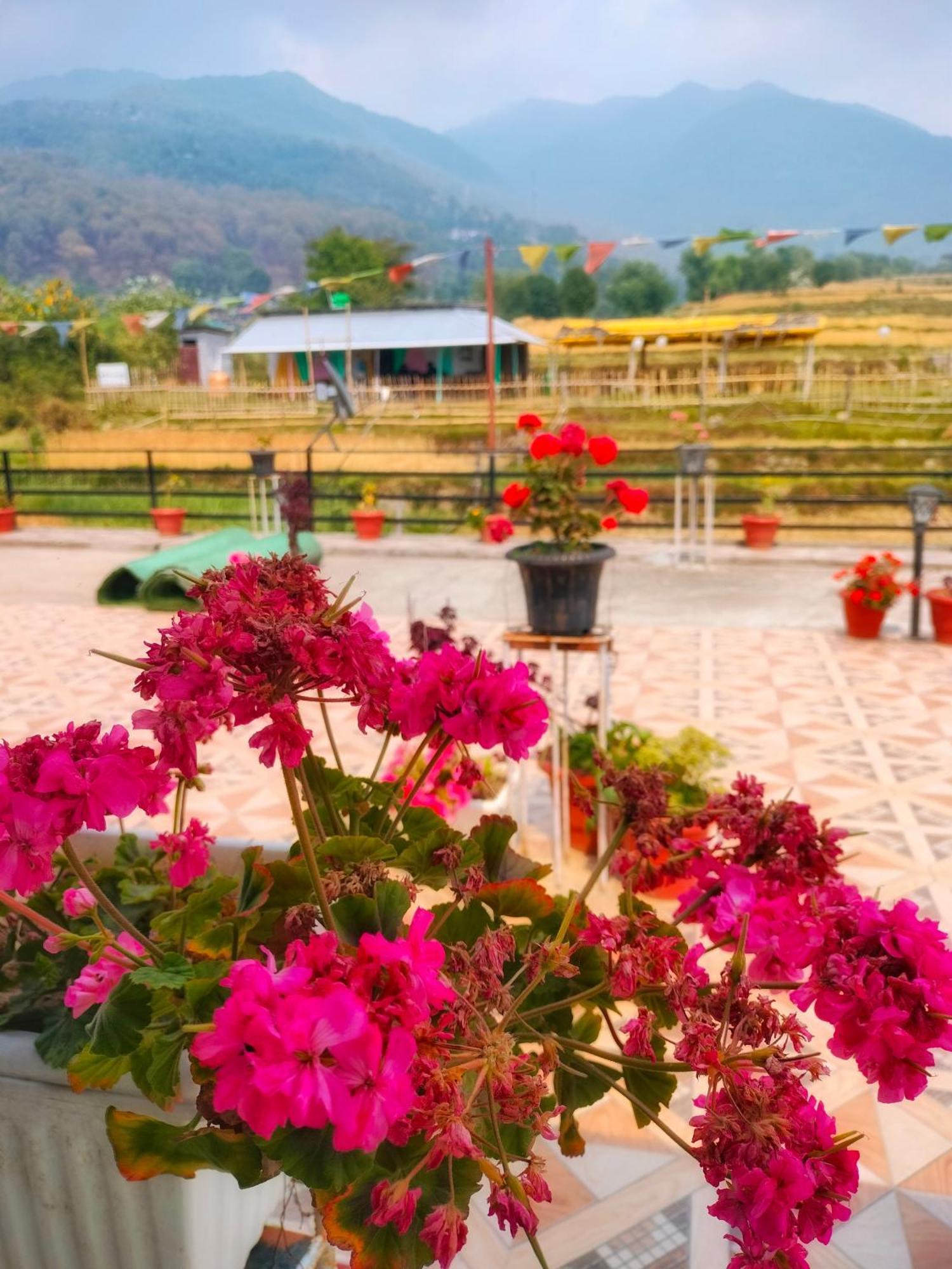 Raahi Stay, Landing Site Bir - Stay & Cafe Екстер'єр фото